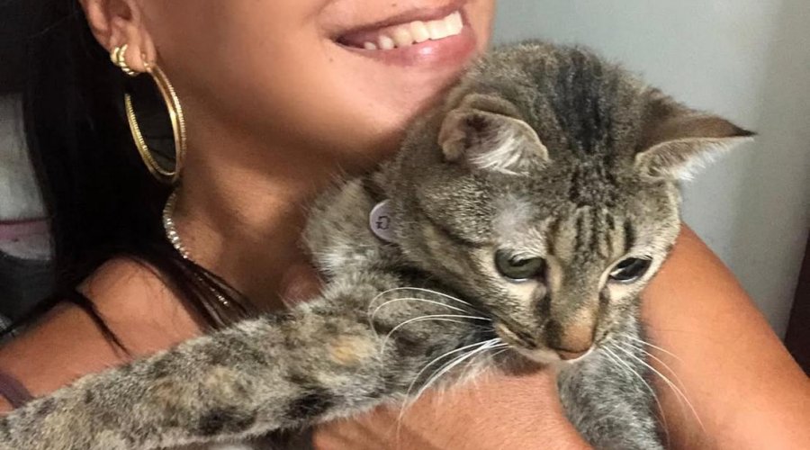 Imagem sobre Adoção de Animais:  amor e responsabilidade