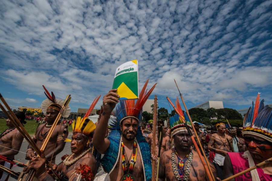 Imagem sobre Terra Yanomami sem garimpo nem desmatamento 