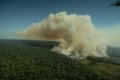 Santander: capital contra a floresta