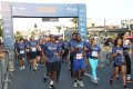 Corrida de rua, a febre do momento
