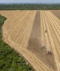 Imagem sobre Agro recebe 73% da verba climática